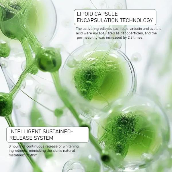 α-Arbutin Niacinamide+ Plant Extract  Redness Removing Repair Whitening Lotion Customized