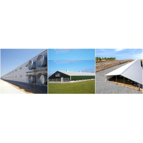 Weather Resistant Steel Structure Poultry House Shed Prefab Workshop Buildings