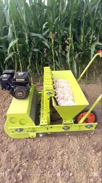 2017 Hot Garlic Seeder/Garlic Planter Machine