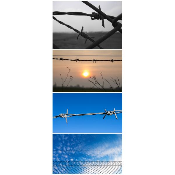 25kg Galvanised Steel 1.6mm Security Barbed Wire And 1.5mm Thick Barbs Ideal