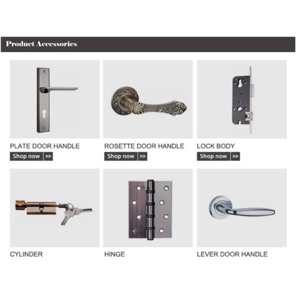 Black Anodized Frame Aluminum Pivot Door Horizontal Middle Turning