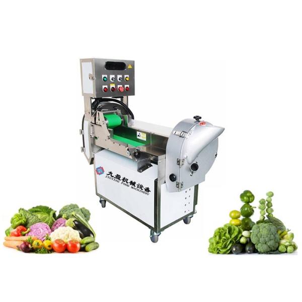 葉が多いおよび根菜のプロセス用機器多機能110V 2.5KW