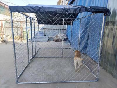 Chain Link Steel Dog Kennel Recinto ao ar livre Caneta de exercício com tampa