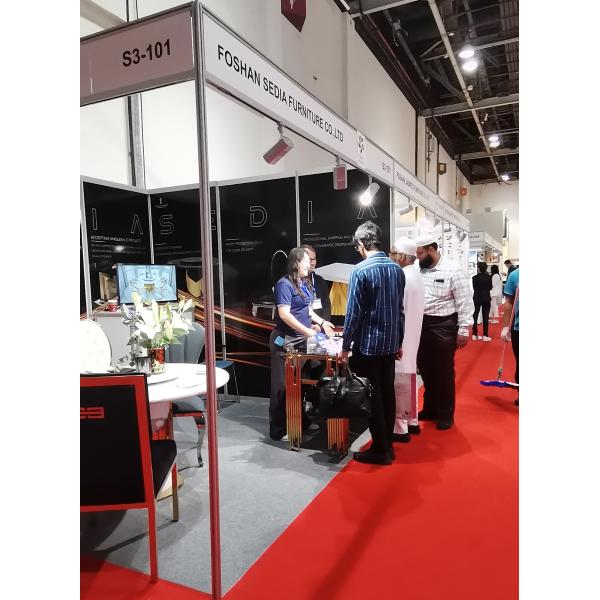 Foshan Sedia Furniture Co., Ltd