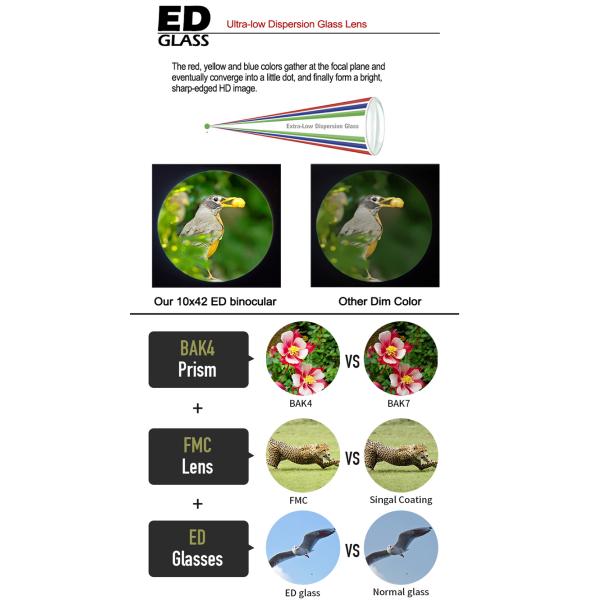 128m / 1000m 8x42 ED Binoculars For Hunting Camping Hiking