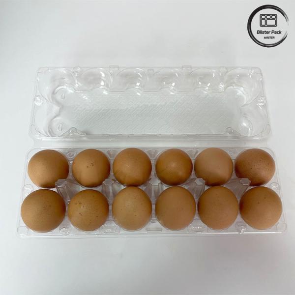 12 Count Reusable Chicken Egg Plastic Blister Tray Thermoforming Tray For Storage And Transportation
