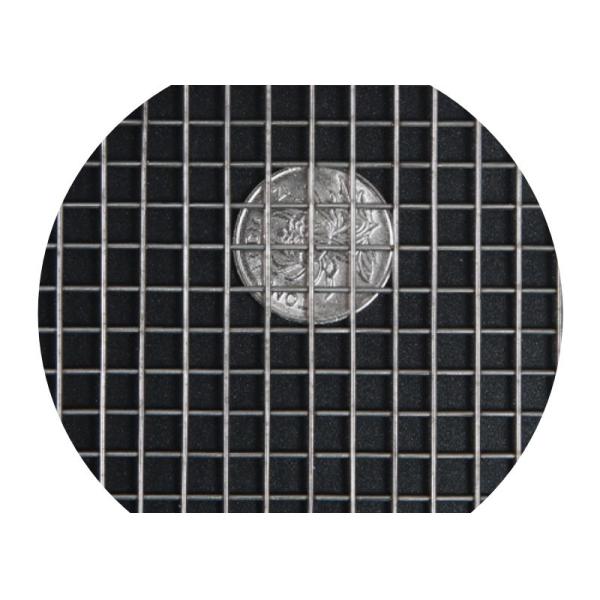 ячеистая сеть 1mm пластиковая покрытая обшивает панелями сваренную нержавеющую сталь 304