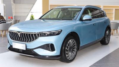 Carro elétrico VOYAH 4WD VOYAH FREE 2021 Extended Range Edition SUV médio grande
