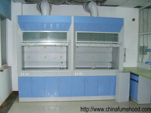 Customized Steel Fume Hood , PP Blower Laboratory Ventilation Hoods