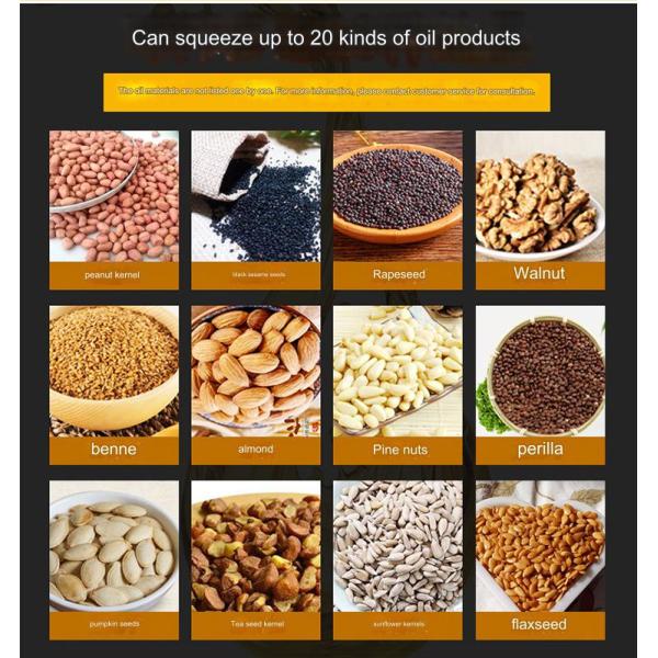 Multifunctional Household Home Provided Peanut Oil Extraction Machine Cold Hot Pressing 8 KG Other