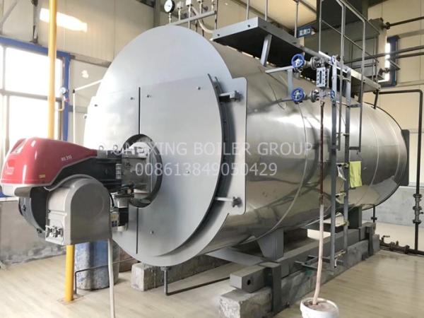 Stainless Steel Industrial Gas Fired Steam Boilers Dual Fuel Oil Gas Low Noise