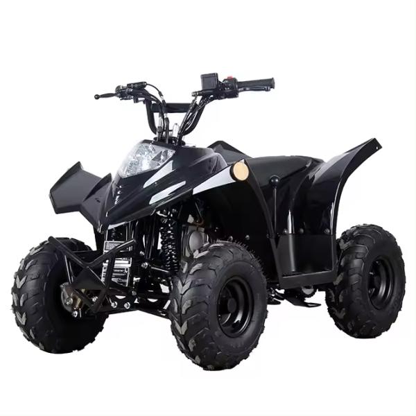 Compact Chain Transmission ATV 125cc 110CC 70CC with Low Fuel Consumption