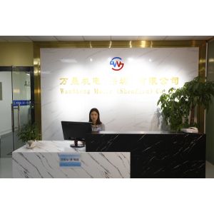 Masing Motor (Shenzhen) Co., Ltd