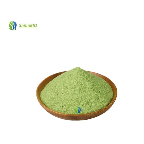Bulk Superfood Wheat Grass Powder Food Grade Nutritional Supplement WheatGrass Powder Super Greens Wheat Grass Juice Powder