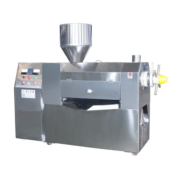 900kg/H Palm Oil Screw Press Commercial Oil Press Machine