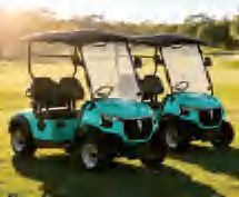 All-Terrain Off-Road Electric Golf Cart 2 Seats Trailing Arm Stabilizer Bar Independent Suspension Rugged Body