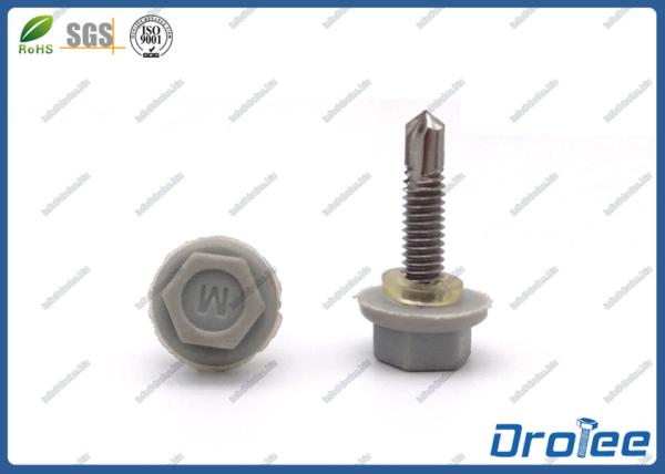 304/316/410 Stainless Plastic Coating Hex Washer Head Self Drilling Tek Screw w/ Nylon Sealing Washer