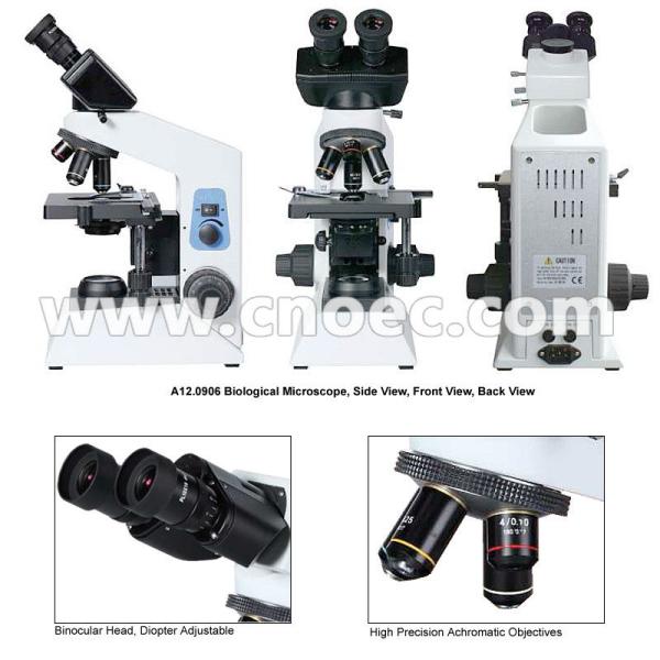 Polarizing Compound Optical Microscope Fluorescent LED Microscopes A12.0906