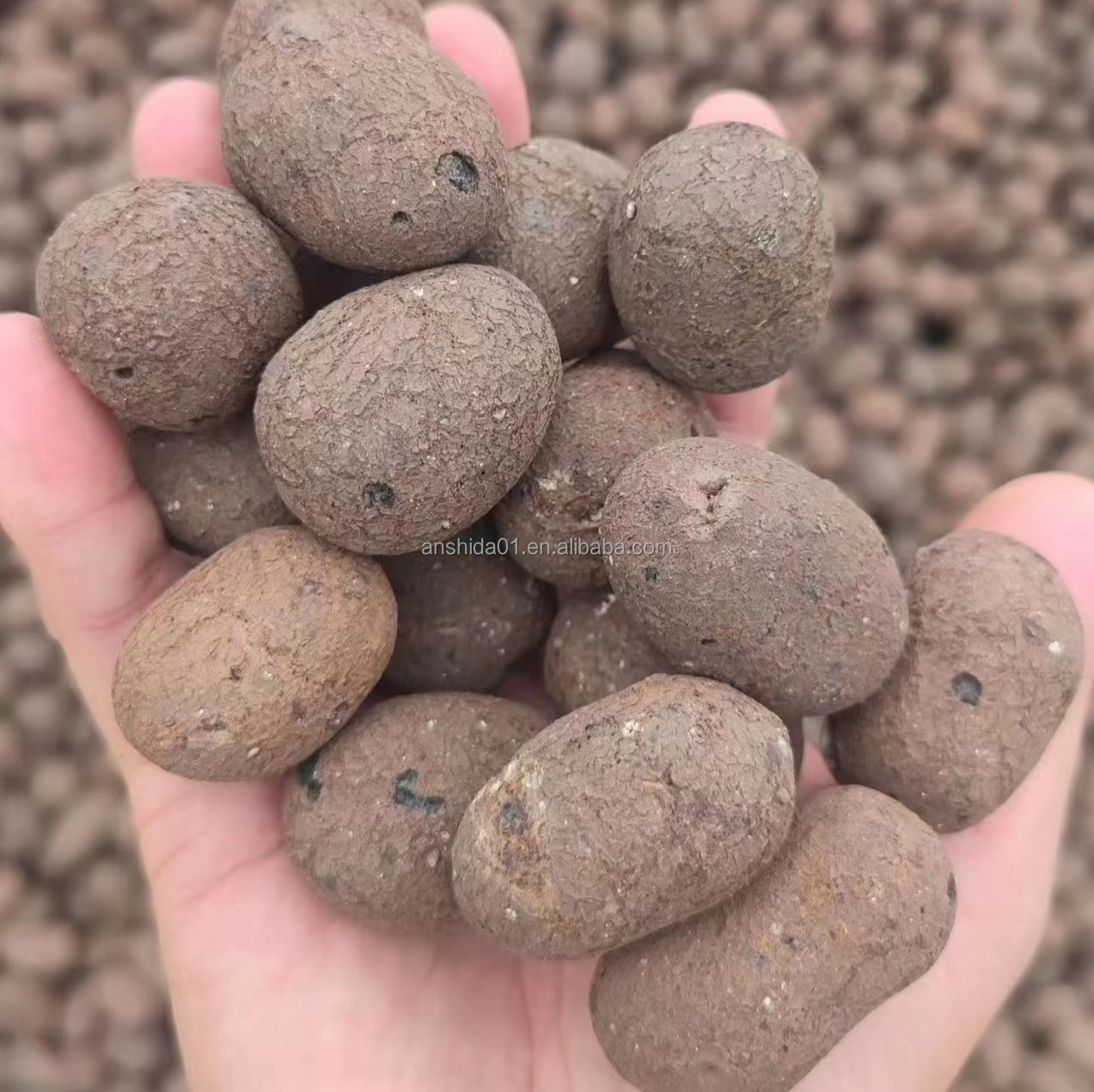 Hydroponic LECA for Horticulture Lightweight Brown Balls at Affordable Prices