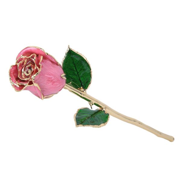 Preserved Roses Gold Plated Rose Real Flower Handmade Wholesale