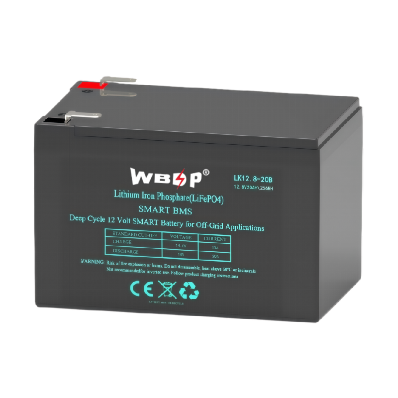 Compact 12V 20Ah LiFePO4 Battery Lightweight LiFePO4 Deep Cycle Battery For Electric Forklift And EV