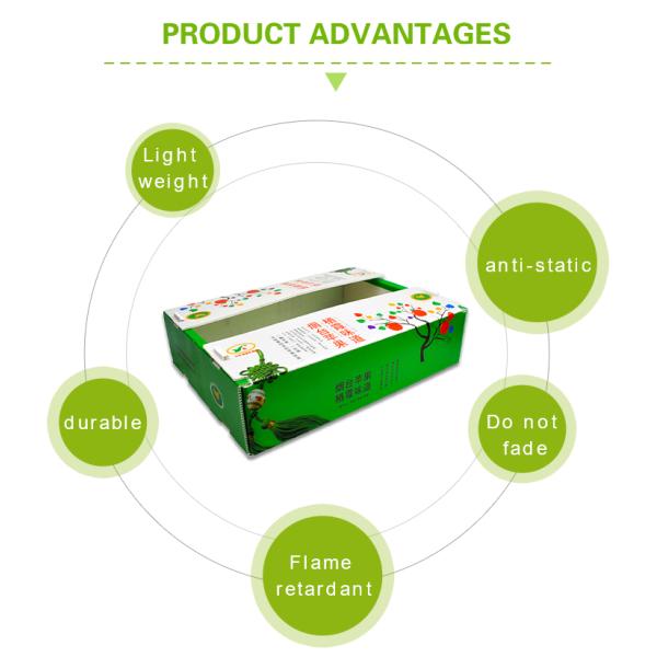 Плод гофрировал коробку рифленого листа PP брокколи пластиковой упаковки