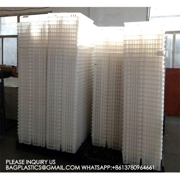 Chicken Cage Turnover Box With Partition Board Chicken Transportation Cage Egg Cage