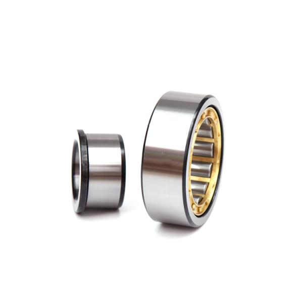 Сталь подшипника ролика NU203 цилиндра клетки открытых уплотнений латунная автоматическая рисуя