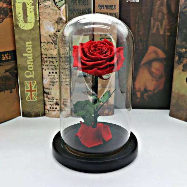 Preserved Rose Flower The Little Prince for Lasting Decoration