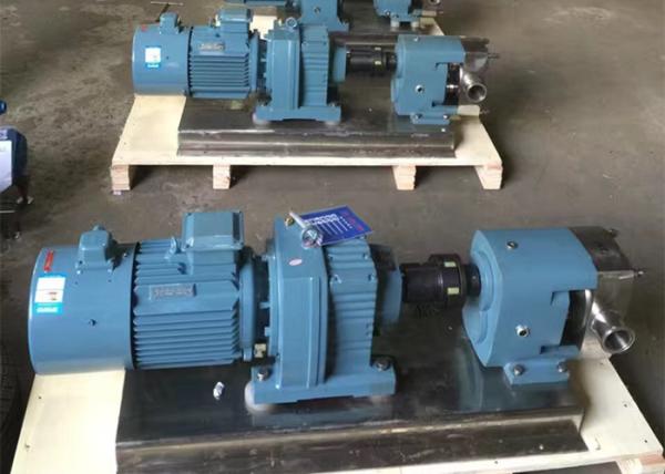 380V 50HZ 3 Phase Food Grade Pump High Viscosity Positive Lobe Gear Pump