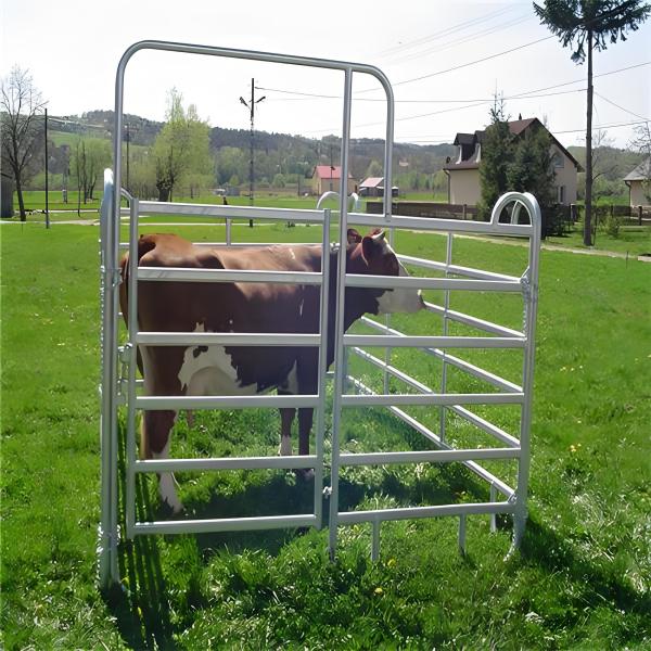 Panneaux de clôture de jardin d'élevage en tube rond en acier au carbone galvanisé à chaud
