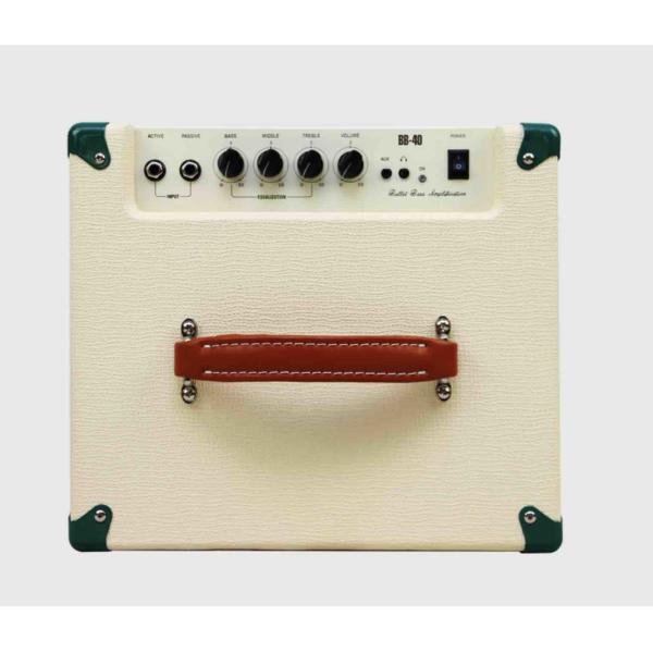 Custom Guitar Bass Speaker Cabinet Amplifier 40W