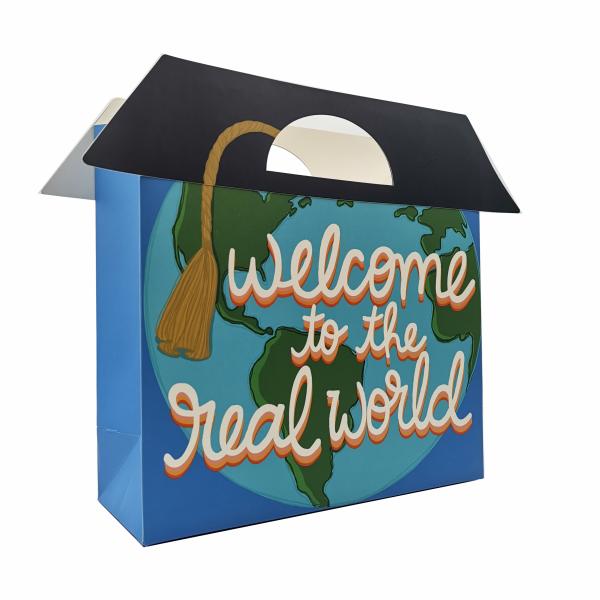 157g SGS Shopping Christmas Gift Paper Bag  Recycled Printed With Twisted Rope Handles