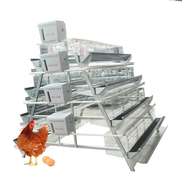 Q235 Steel Battery Poultry Farm Layer Cage 3 Tiers 4 Tiers A Type Chicken Cage System