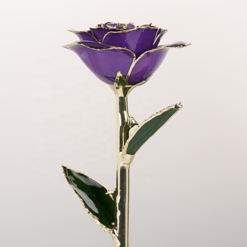 24k Gold Trimmed Rose  Preserved Fresh Flower  Resin Preservation Eternal Rose Mother's Day Valentine's Day Christmas Gif
