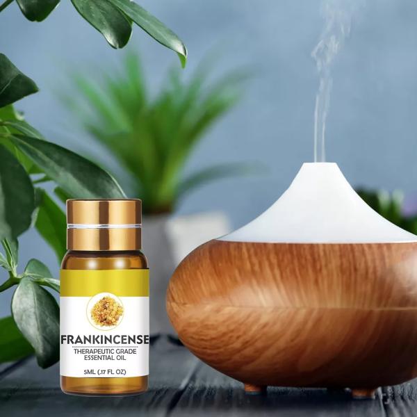 Zingiber Officinale Herbal Essential Oils Ginger Root Essential Oil Hair Care