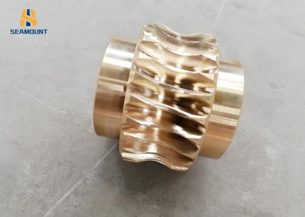 Professional Micro Worm Gear Loow Noise Self Locking Master Gear