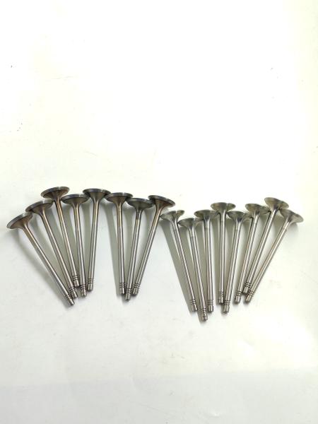 Mported Volkswagen Jetta Syncro 2013-2014 Intake And  Exhaust Valves 03C109601J