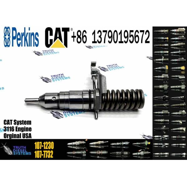 3116 Engine Parts Injector 107-1230 107-7732 107-7734 107-7773 Diesel Fuel Injector 1077734 107777 Machinery Engine Parts