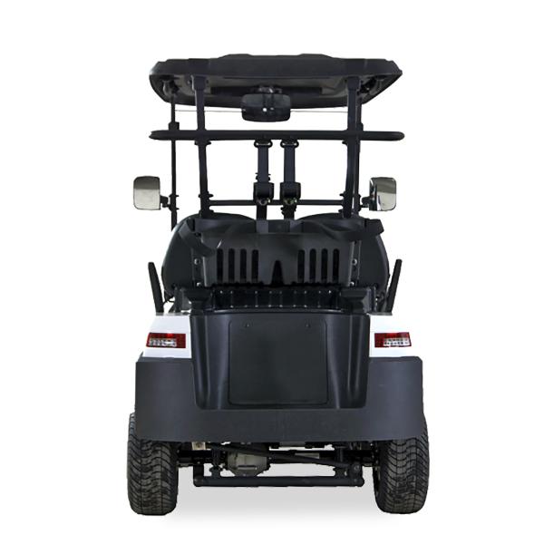 Electric Golf Buggy 2 Passenger with Intelligent Onboard Charger