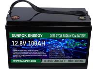 banque de puissance de lithium d'Ion Battery Pack And Charger 12v Bms de lithium de 100ah 200ah