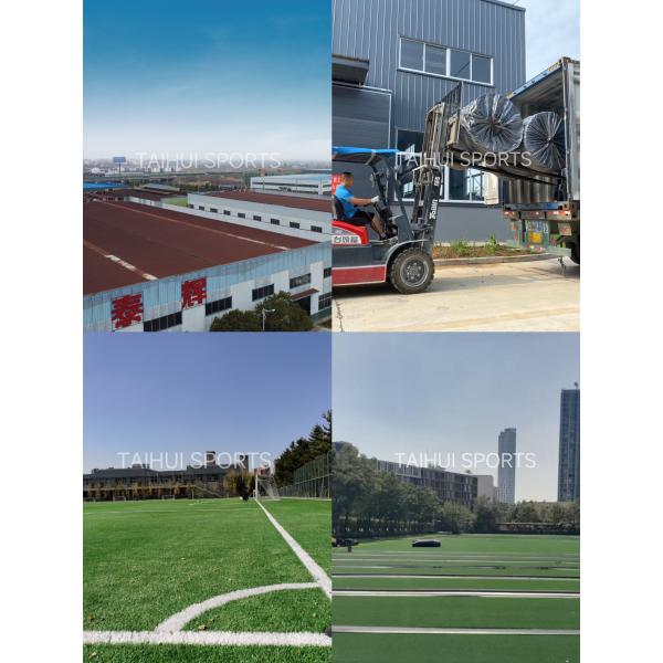 16800 Densidad Césped artificial ecológico fácil de instalar Césped al aire libre de 30 mm 50 mm para necesidades deportivas