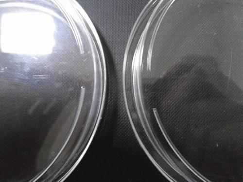 Round Disposable Plastic Laboratory Petri Dish 90 X 15mm For Bacterial Culture