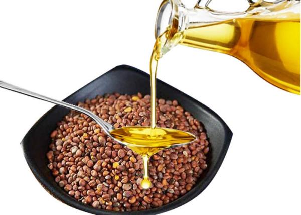 Cold Pressed Wild Camellia Seed Healthy Edible Oil 2 Years Warranty Top Grade
