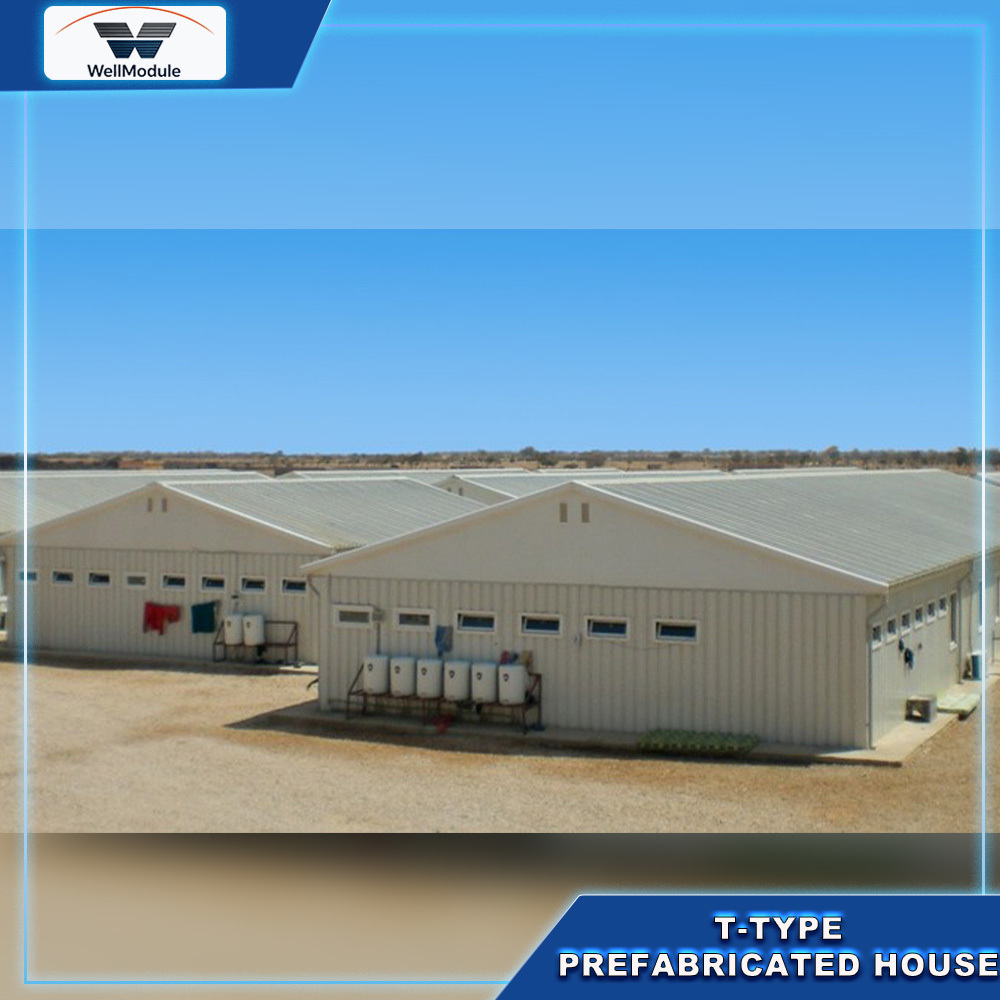 T Type Prefabricated Building Solution with Fast Installation for Construction Sites, Industrial Camps and Temporary Housing Projects