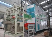 Économie d' énergie de papier automatique plateau d' œuf / carton d' œuf Machines avec 2000Pcs / h