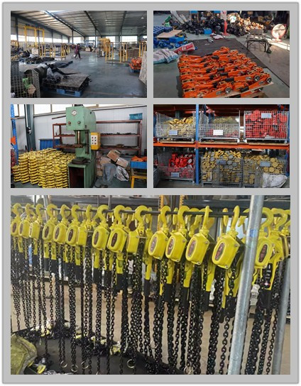 Portable Industrial Lever Hoist Light Weight Mini Lever Chain Hoist 0.75Ton - 9Ton
