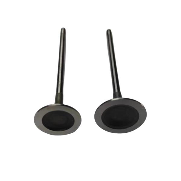 Componentes para automóviles 1.6T Válvulas de admisión y escape para Peugeot 3008 207CC 308CC 308SW RCZ Citroen C4 C4L DS5 OE 0948E8 0949E2