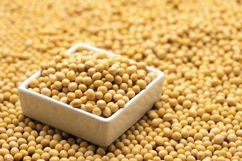A máquina de embalagem de enchimento do malote horizontal do grânulo dos feijões para o alimento 380V 50 ensaca/minuto