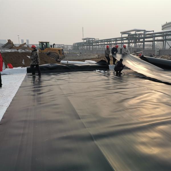 Waterproofing Fish Farm Pond with 100% Virgin HDPE Geomembrane in Industrial Design